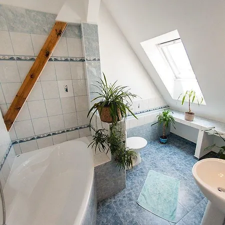 Guest house Svet 3*