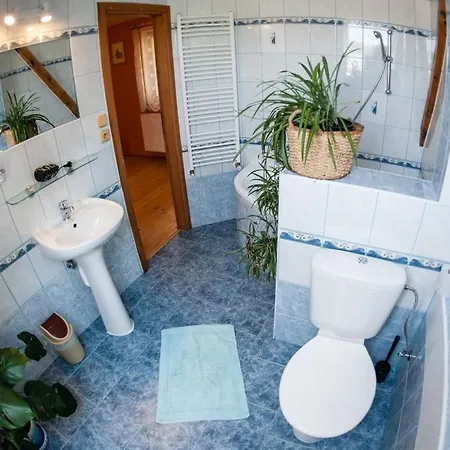 Svet Guest house 3*