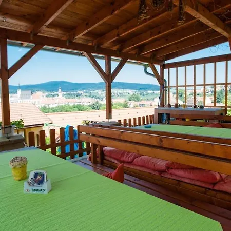 Guest house Svet 3*